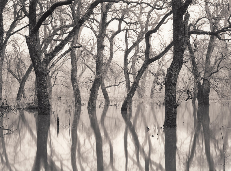 Water Dance